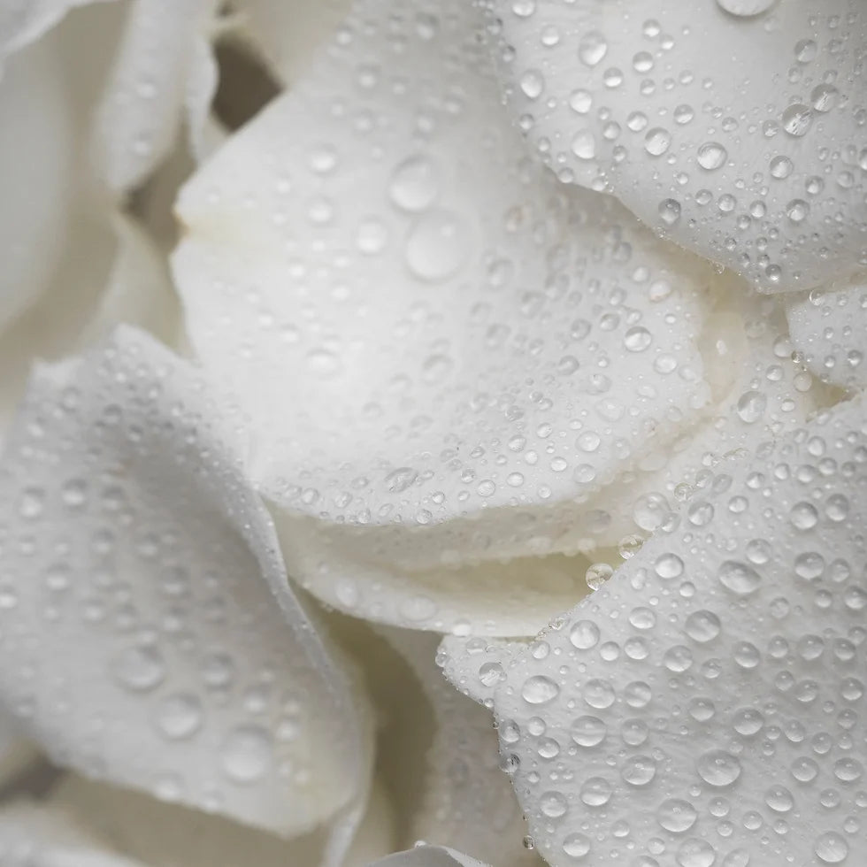 Body Splash Goxxtosa